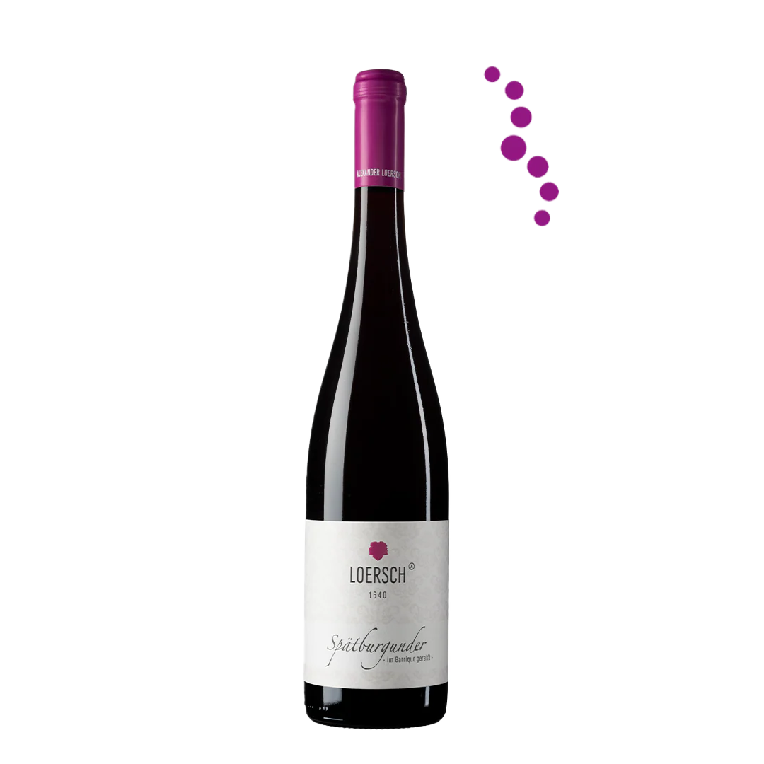Pinot Noir - Spätburgunder Barrique