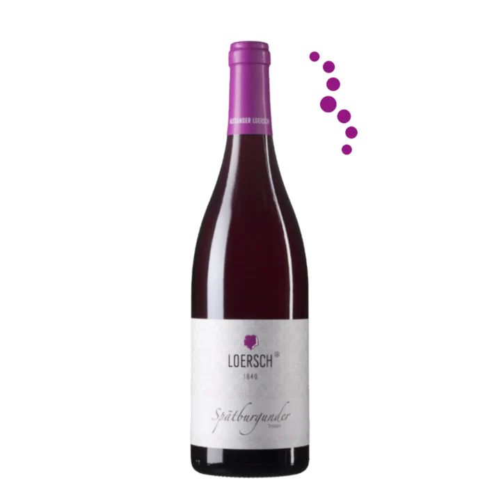 Spätburgunder Trocken